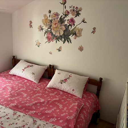 Elena Apartment Plužine Εξωτερικό φωτογραφία