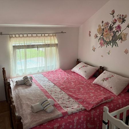 Elena Apartment Plužine Εξωτερικό φωτογραφία