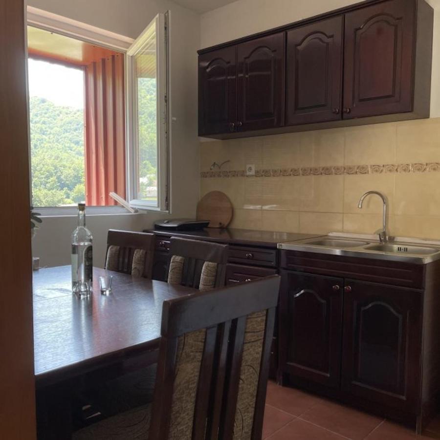 Elena Apartment Plužine Εξωτερικό φωτογραφία