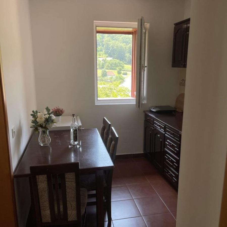 Elena Apartment Plužine Εξωτερικό φωτογραφία