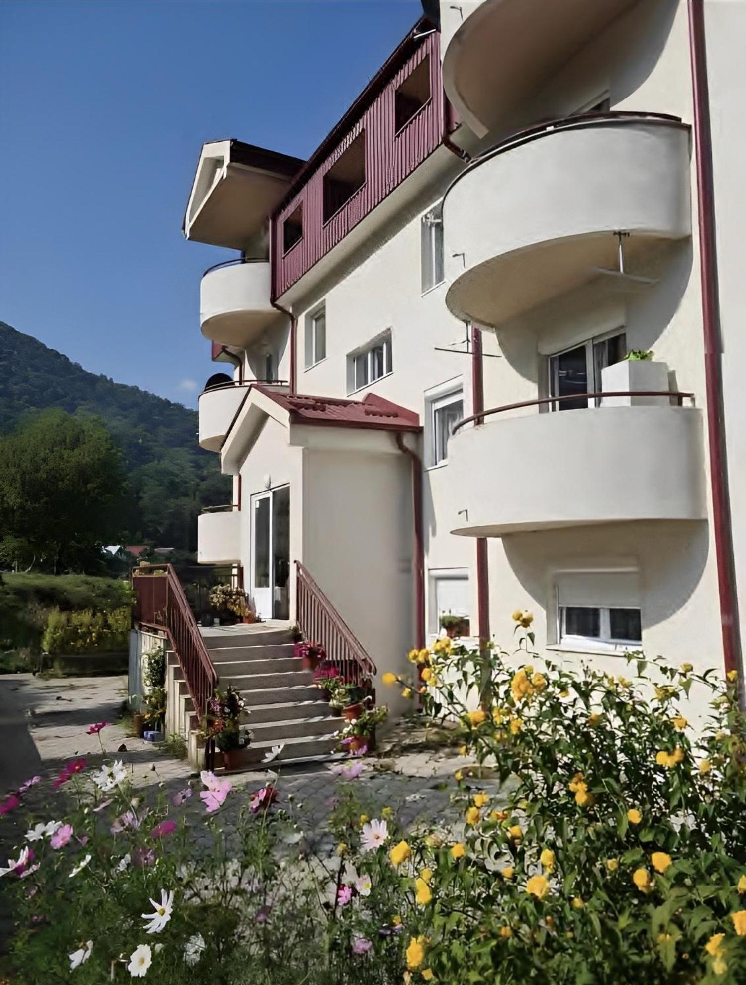 Elena Apartment Plužine Εξωτερικό φωτογραφία
